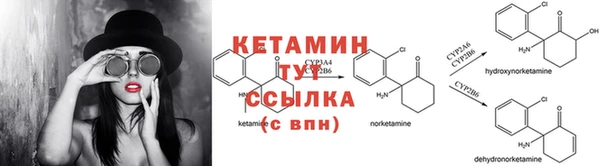 прущие грибы Кукмор